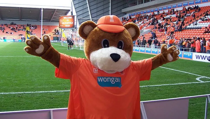 Linh vật Bloomfield Bear của Blackpool FC
