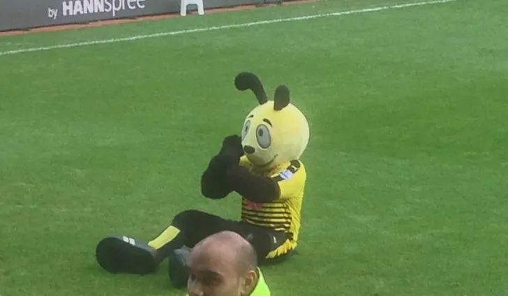 Linh vật Harry The Hornet của câu lạc bộ Watford FC, biểu tượng vui nhộn trên sân Vicarage Road