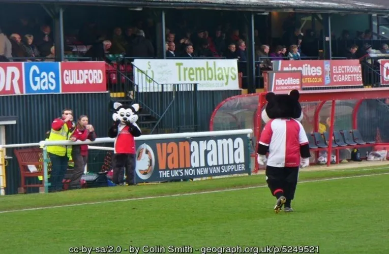 Linh vật K.C. Kat của Woking FC